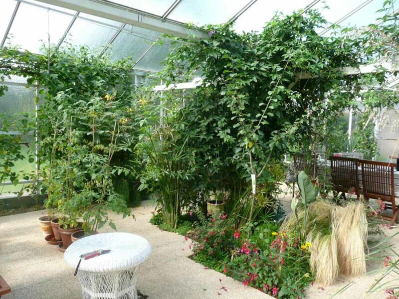 Orangerie - Maison d'hôtes Ti Ar Yer - Milizac, Finistère